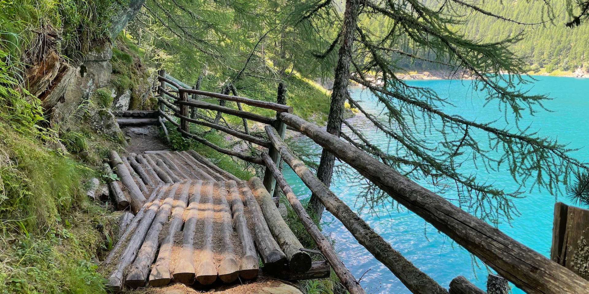 Wirksamkeit. Warum der Begriff nur mit Bedürfnissen funktioniert