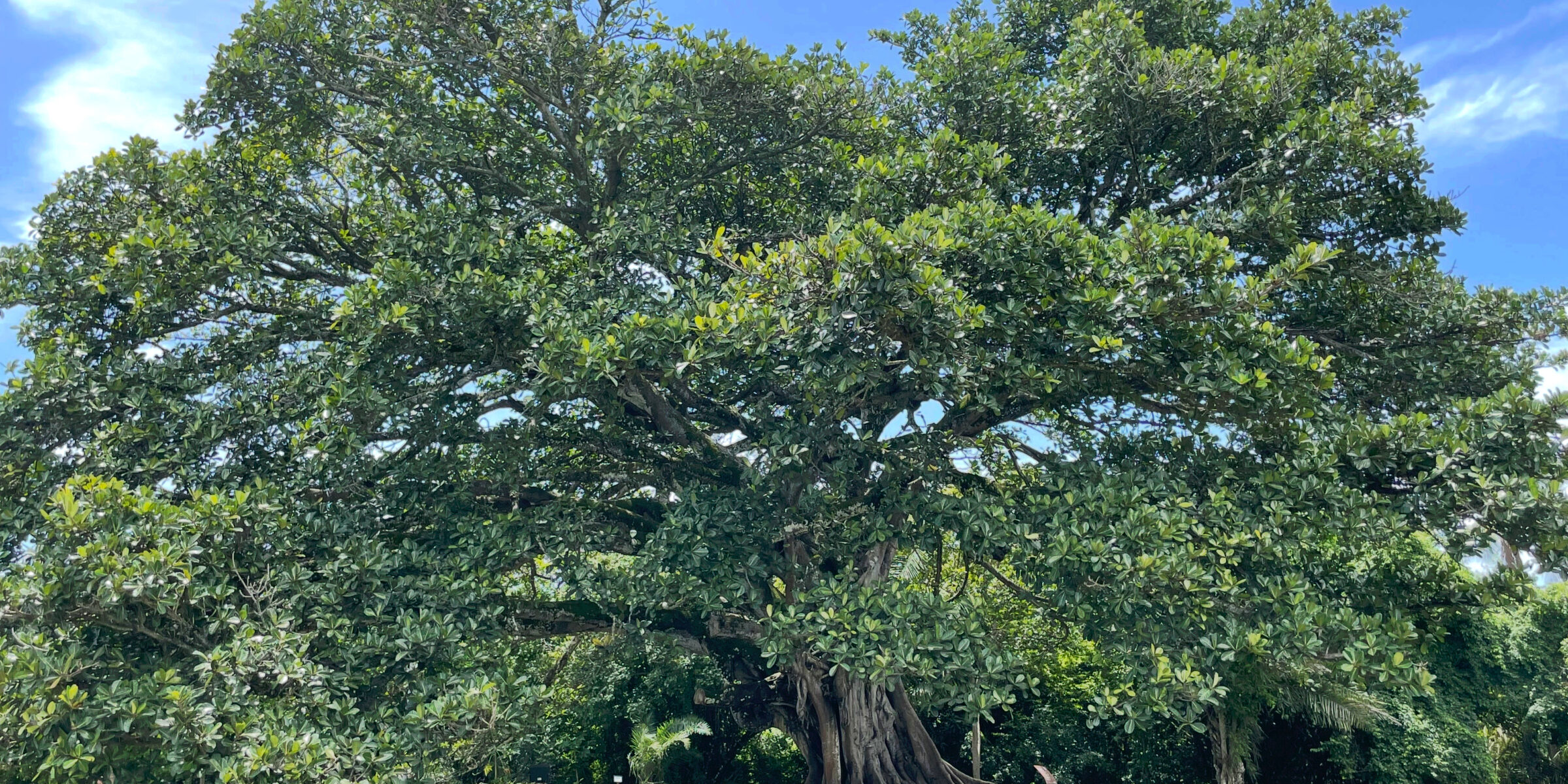 Erfahrung haben reicht nicht mehr. Erfahrung sein – das ist der Unterschied, den KI nicht gehen kann.